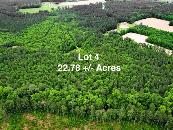 LOT 4 Reese Rd Lot 4, Dinwiddie, VA 23841