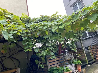 Rented by Owner