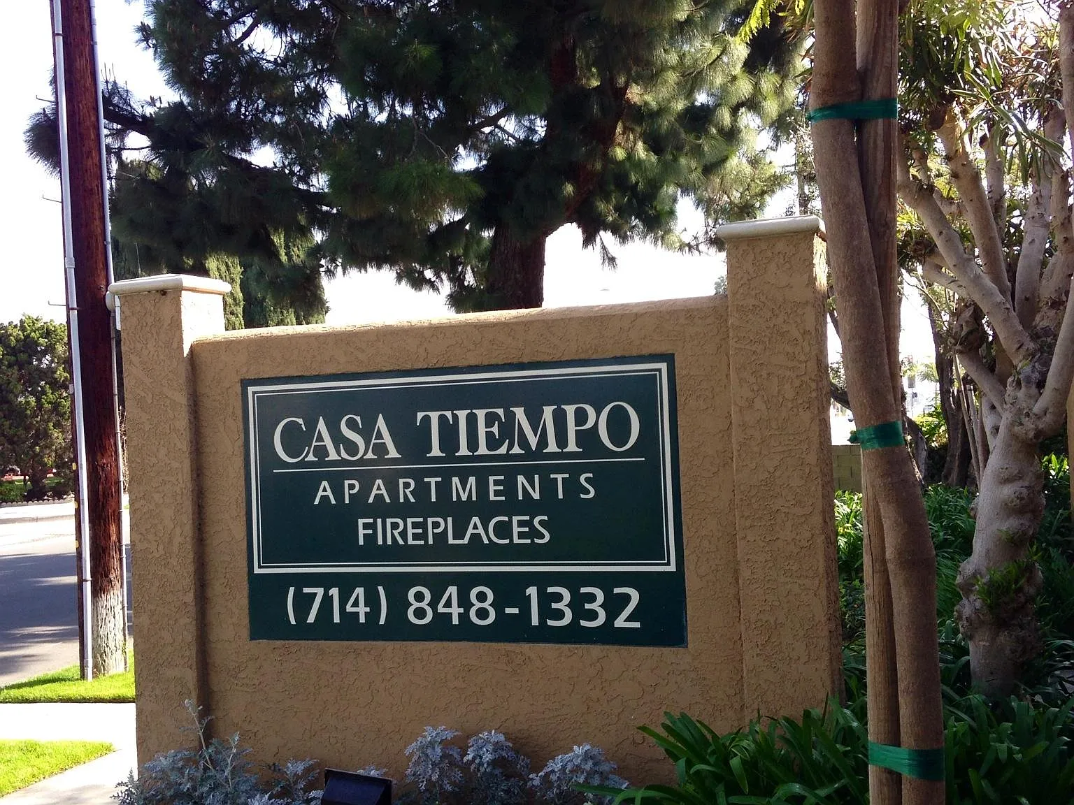 Casa Tiempo — Photo 4