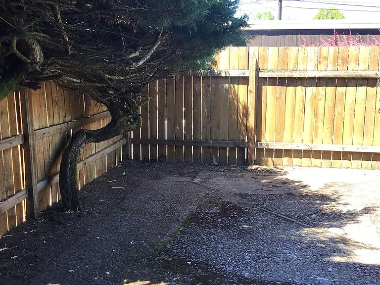 Highland Drive — Photo 19