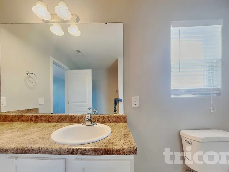 4217 Piedmont Farms Way — Photo 7