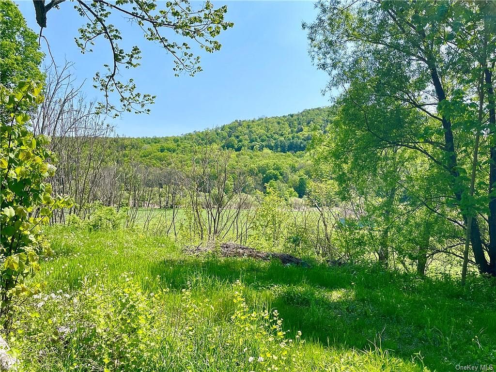 484 N Branch Callicoon Ctr Road, North Branch, NY 12766 Zillow