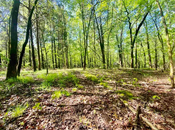 Asbury Dr Lot 19, Somerville, TN 38068