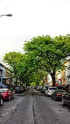 Rented by 585 Evergreen Avenue, LLC