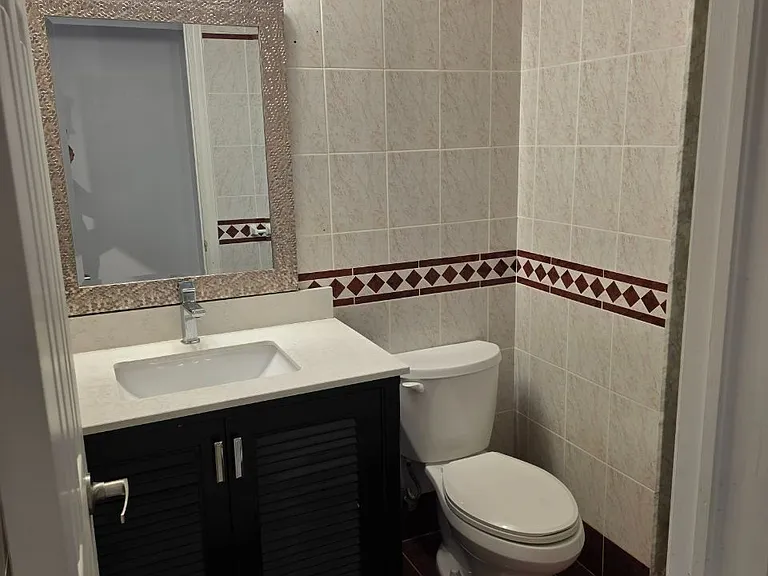 323 Elmwood Ave #LOWER LEVEL — Photo 14