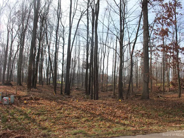 0 Lindsey Rd #5, Jackson, MI 49201