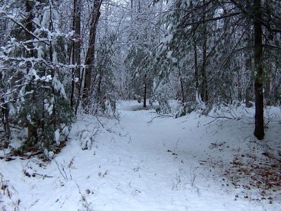 1st image of N Shore Dr #68