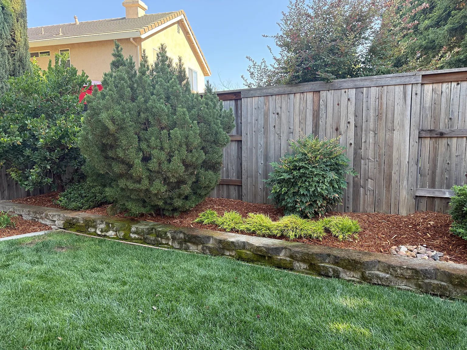 4 bed, 2.5 bath, 2447 sqft, $3,500 — Photo 3
