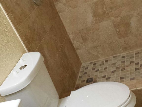 Hall Bathroom Toilet