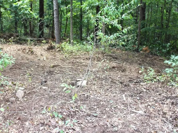 Tbd Hazel Ave, Buena Vista, VA 24416