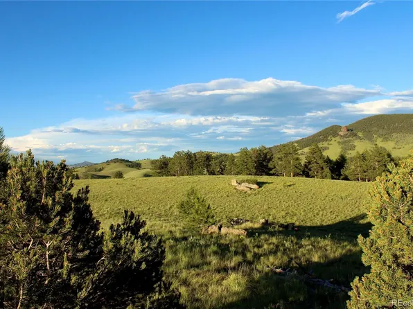 Aspen Meadows Lane, Guffey, CO 80820