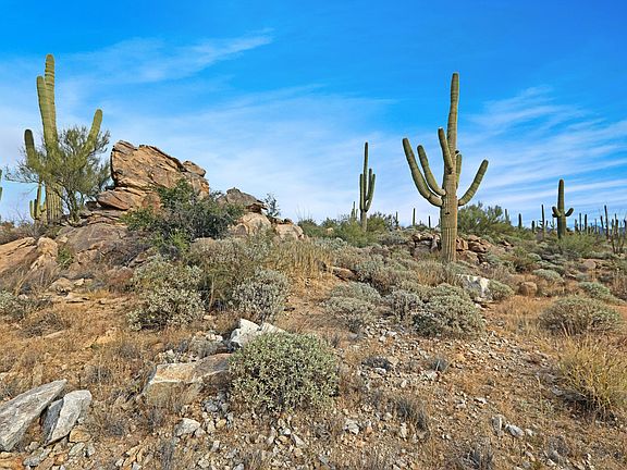 4th image of 1795 W Tortolita Mountain Cir