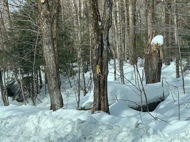 2nd image of 87 North Rd