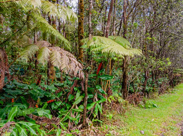 11-3849 9th St Lot 822, Volcano, HI 96785