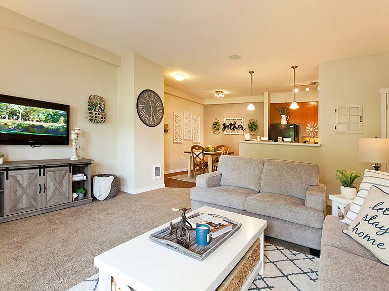 Flat Screen TV Walls