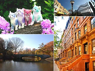 Rented by Mendy Realty Inc