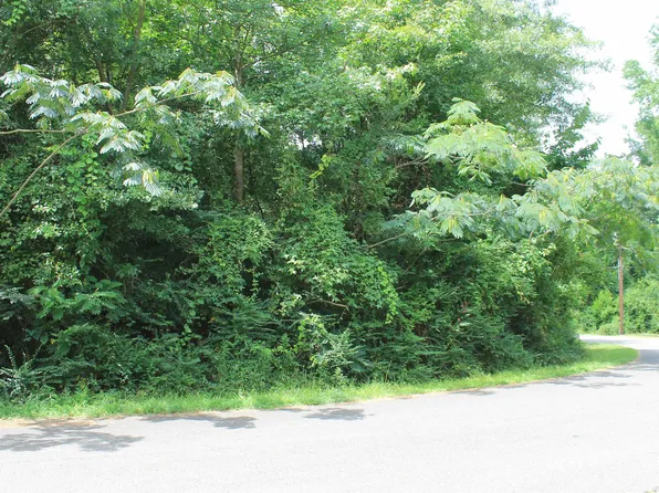 Lots 43 & 44 Ellis Dirve, Waskom, TX 75692