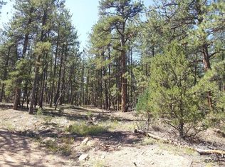 Tbd 17th Trl, Cotopaxi, CO 81223
