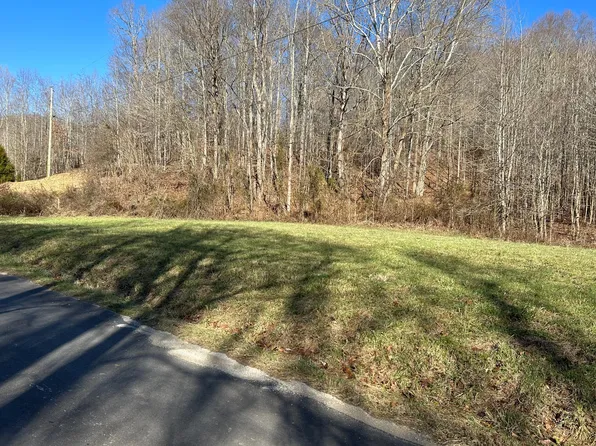 4 Blue Springs Branch Rd, Vanceburg, KY 41179