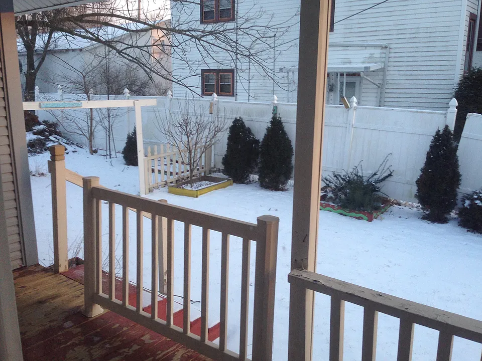 back yard with privacy