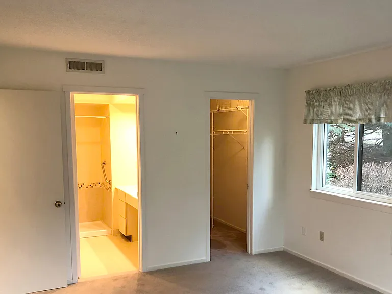 Primary bathroom and Walk-in Closet.