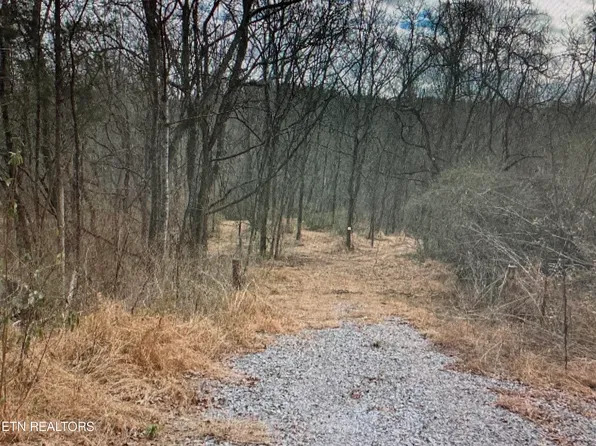 2939 Miser Station Rd, Louisville, TN 37777