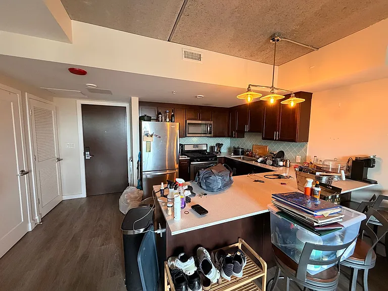 Gorgeous Historical Apartments Near Beach in East Rogers Park — Photo 60