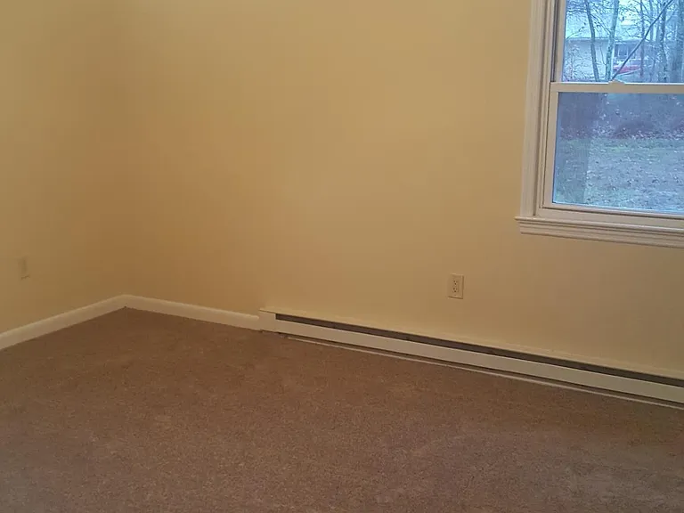 316 Predmore Ave — Photo 11