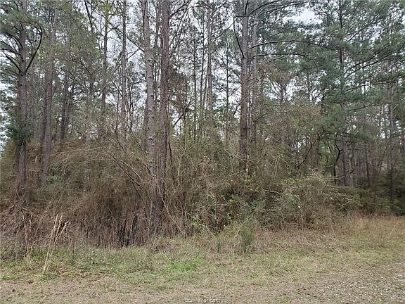 3rd image of 117 E Hickory Bow Ln