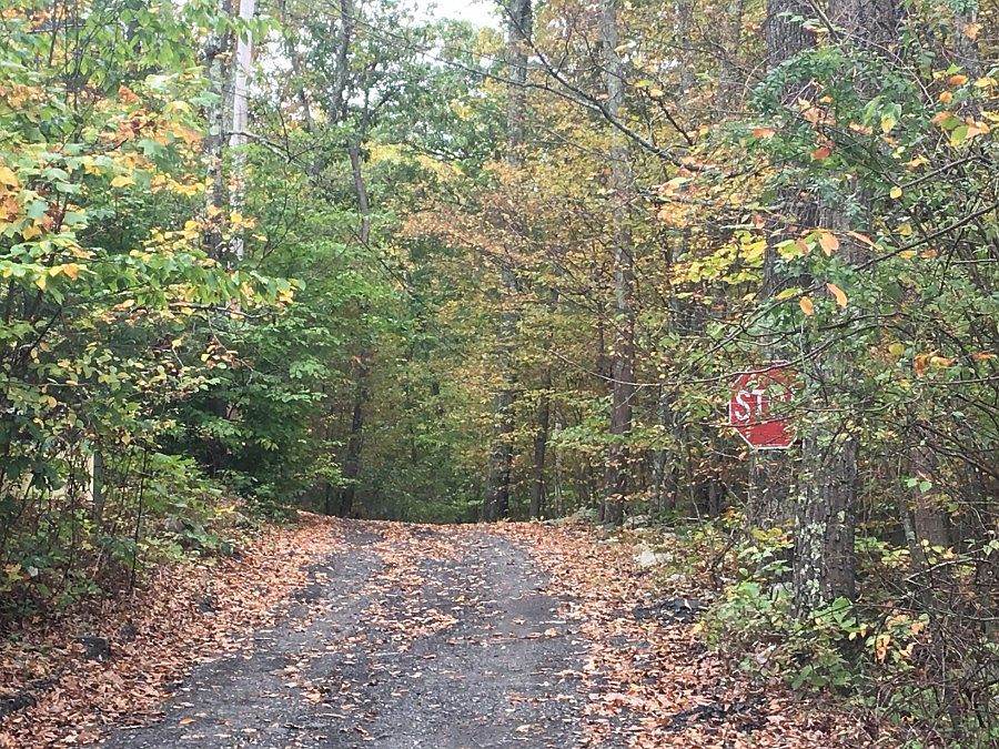 2nd image of 29 Oak Ridge Rd