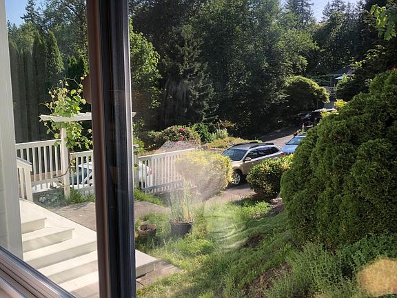 View from the kitchen window