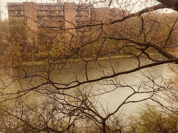 view from bedroom window