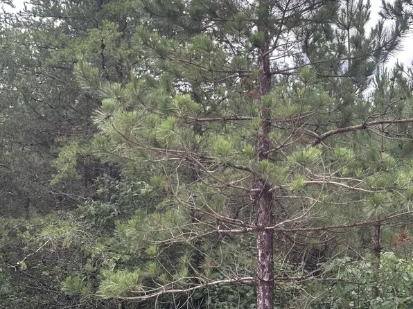 Near Cth Y S Rns Lot 14, Tomahawk, WI 54487