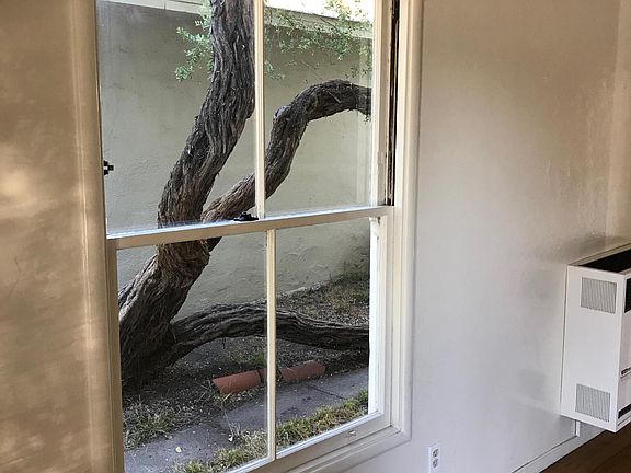 Living room window to yard and great tree