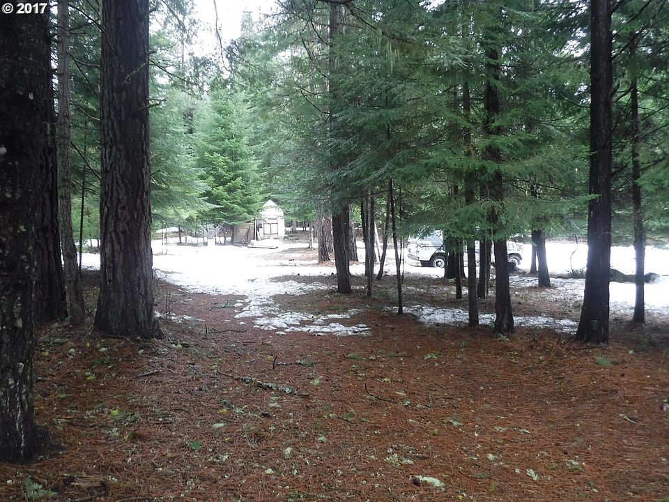 2nd image of 42 E Timber Valley Rd