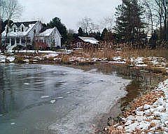 4th image of 6042 Parkers Creek Dr