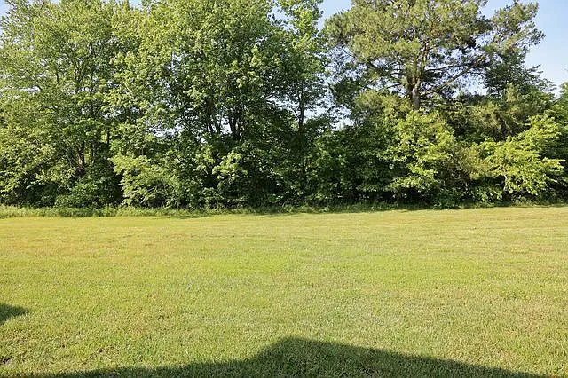 large shared open space right out of your back door - Connecticut Ave