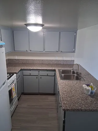 Orchard Plaza Apts Photo 1