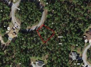 13 Scabiosa Ct, Homosassa, FL 34446