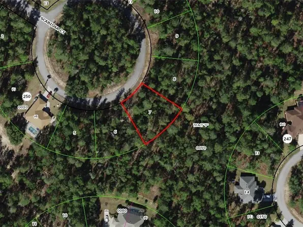 13 Scabiosa Ct, Homosassa, FL 34446