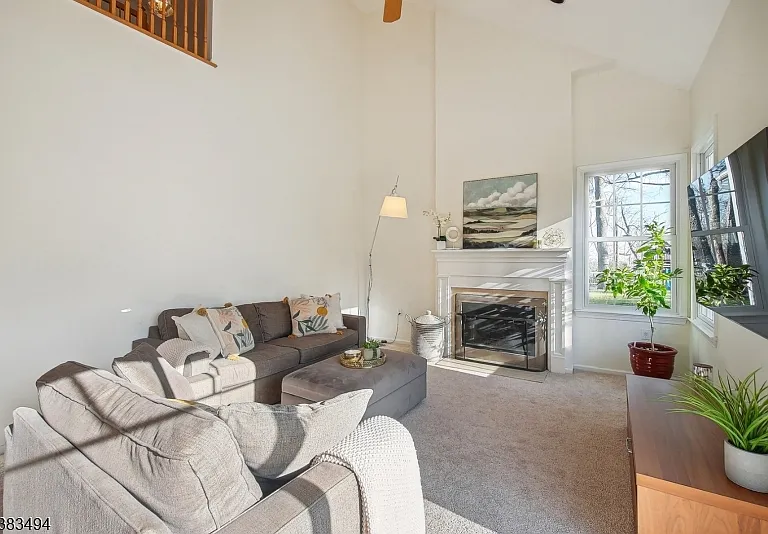 26 Spiked Rush Ct — Photo 5