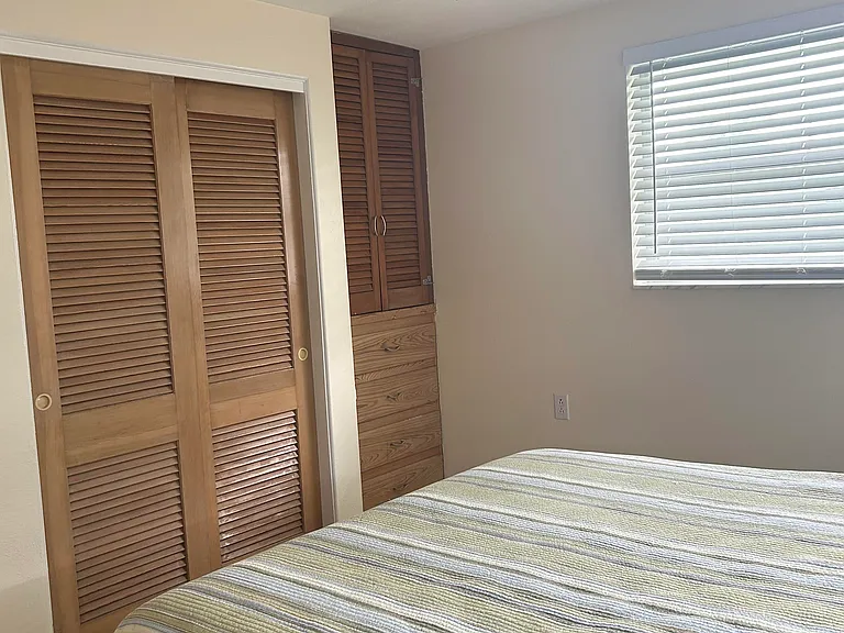 BR #2 closet and built in dresser