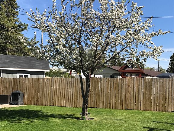 1 of 2 apples trees