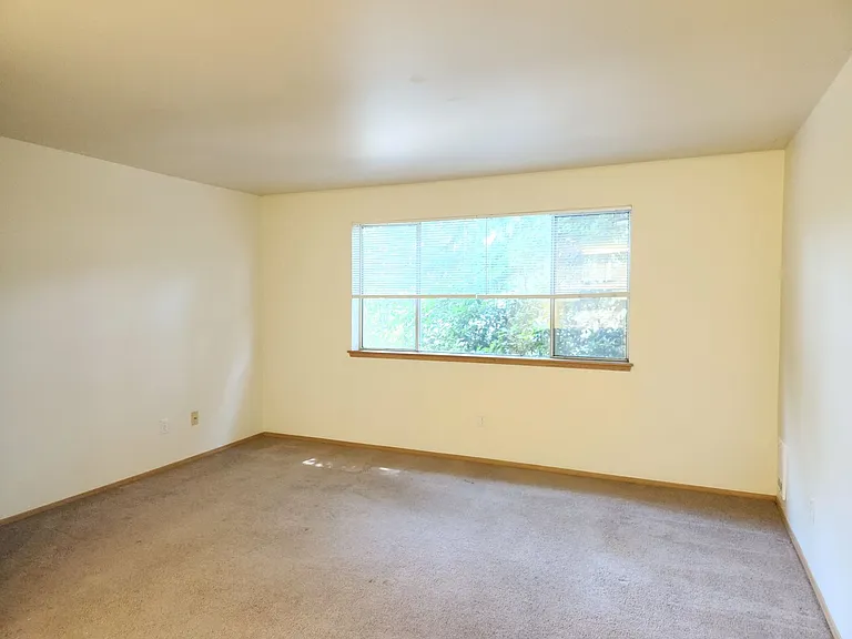 Cedar Park 8 — Photo 6
