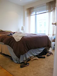 Rented by Mark David