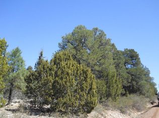 1988 Stagg Run, Heber, AZ 85933