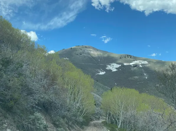 E Bald Mountain Rd, Stockton, UT 84071