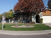 1st image of 3802 W Angela Dr