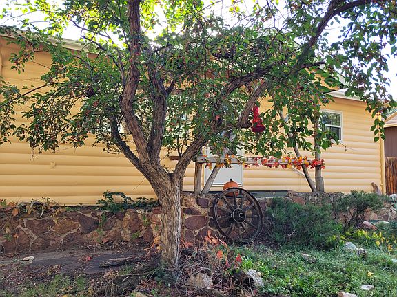 Tree and front porch