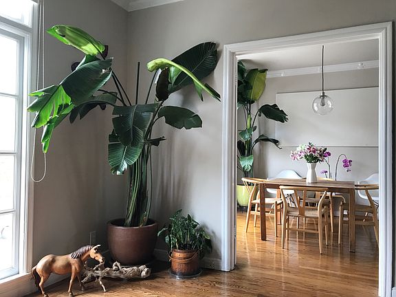 Dining Room - From Living Room